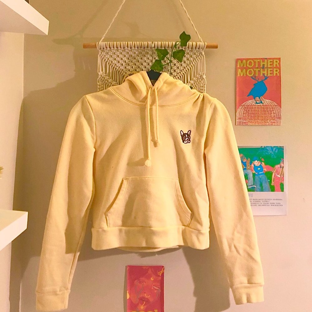 aritzia (sunday best) cropped hoodie